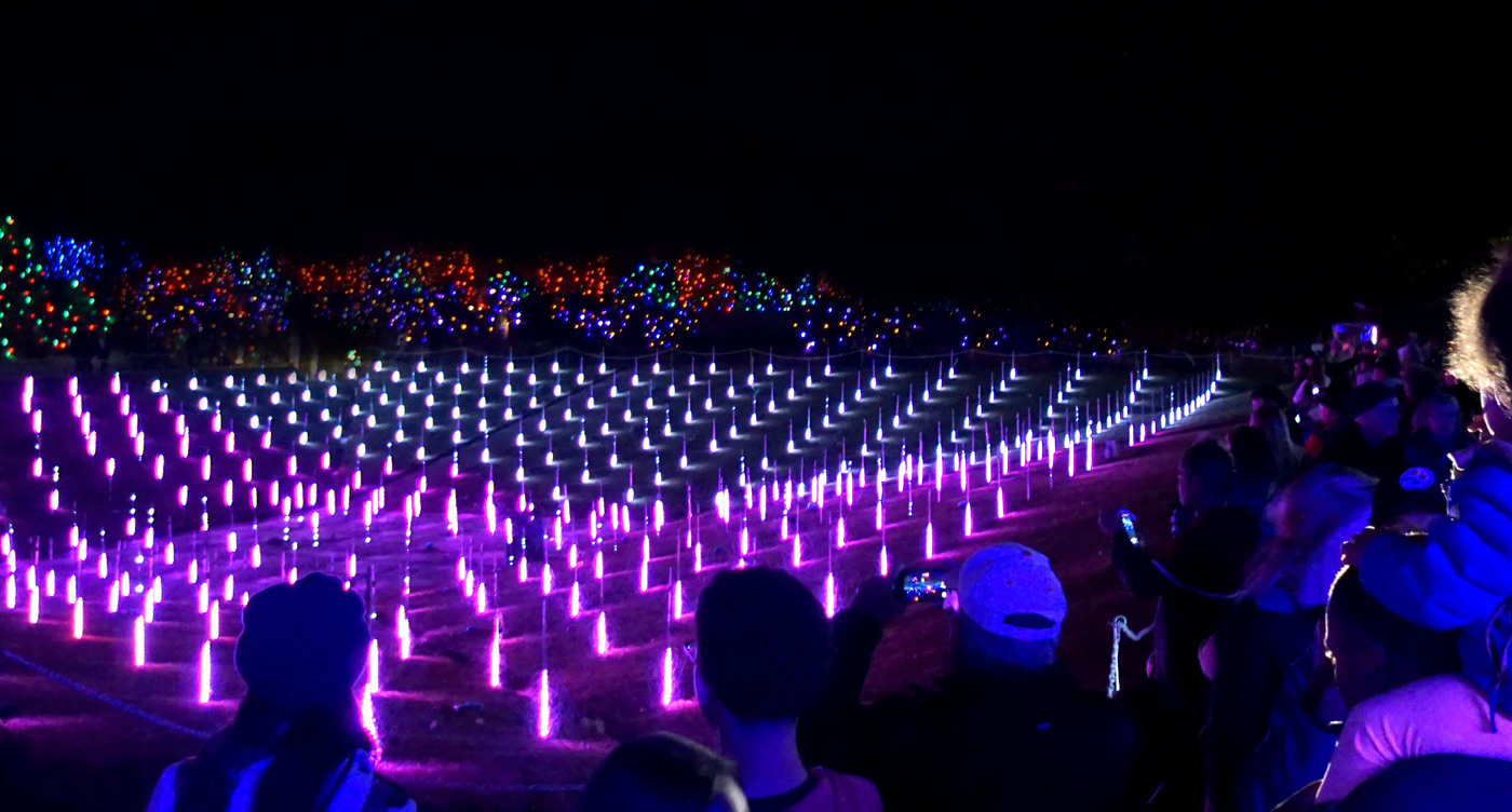 Crowds of People watching installation