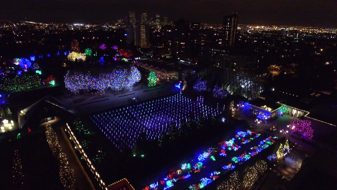 Annual Blossoms of Light