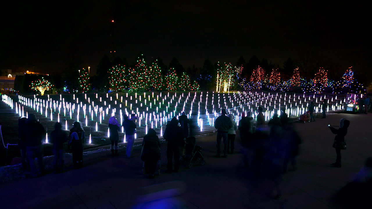 Lumenscape LED Installation