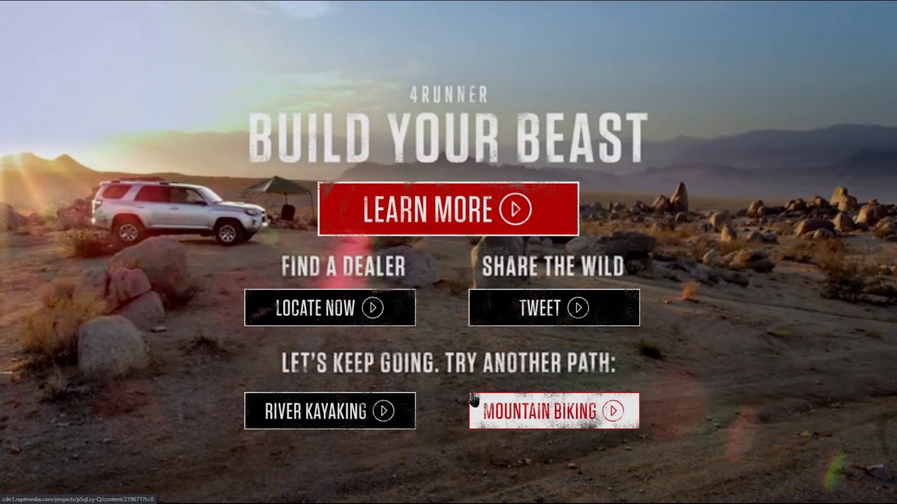 Interactive Video Systems