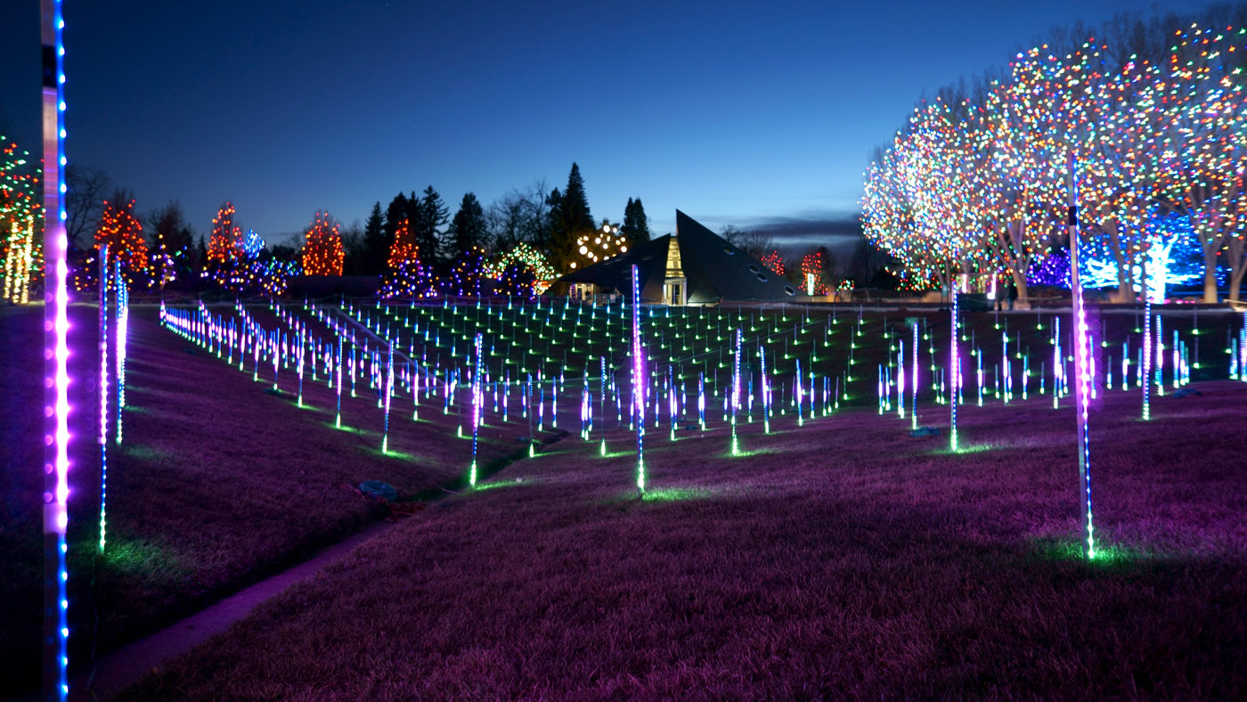 LED Installation at Denver Botanic Gardens